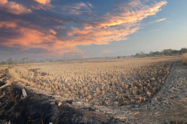  residential-plots-in-panvel-navi-mumbai Elevation