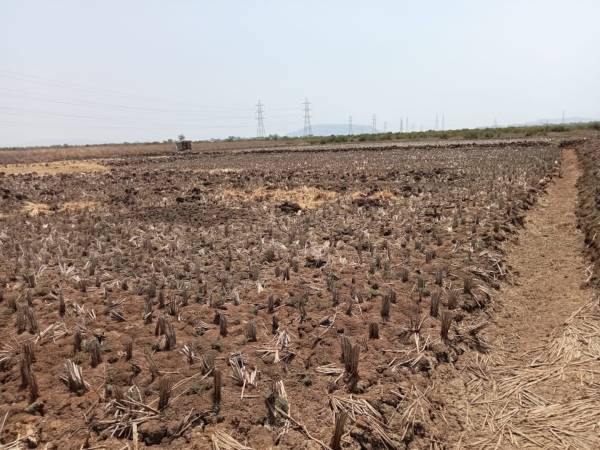  residential-plots-in-panvel-navi-mumbai Plot