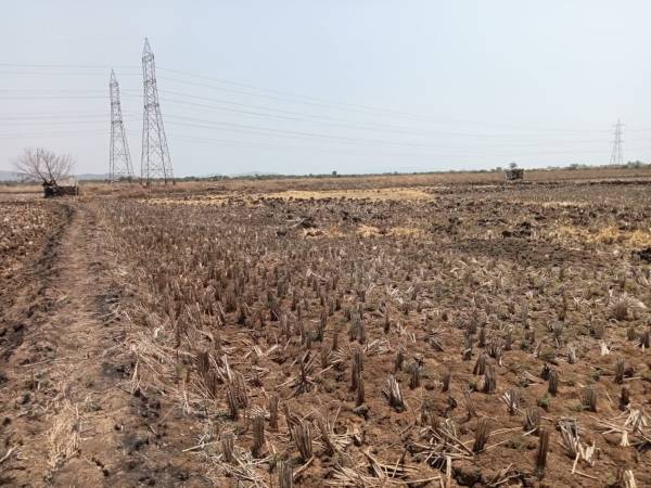  residential-plots-in-panvel-navi-mumbai Plot