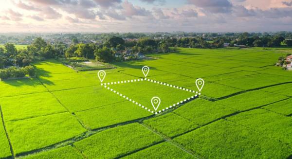 Elevation kailasha-enclave Elevation