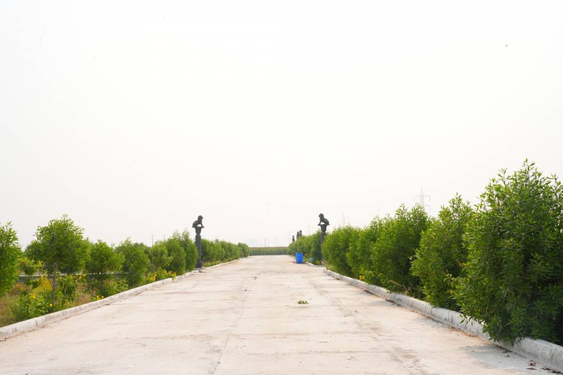  kohinoor Internal Roads