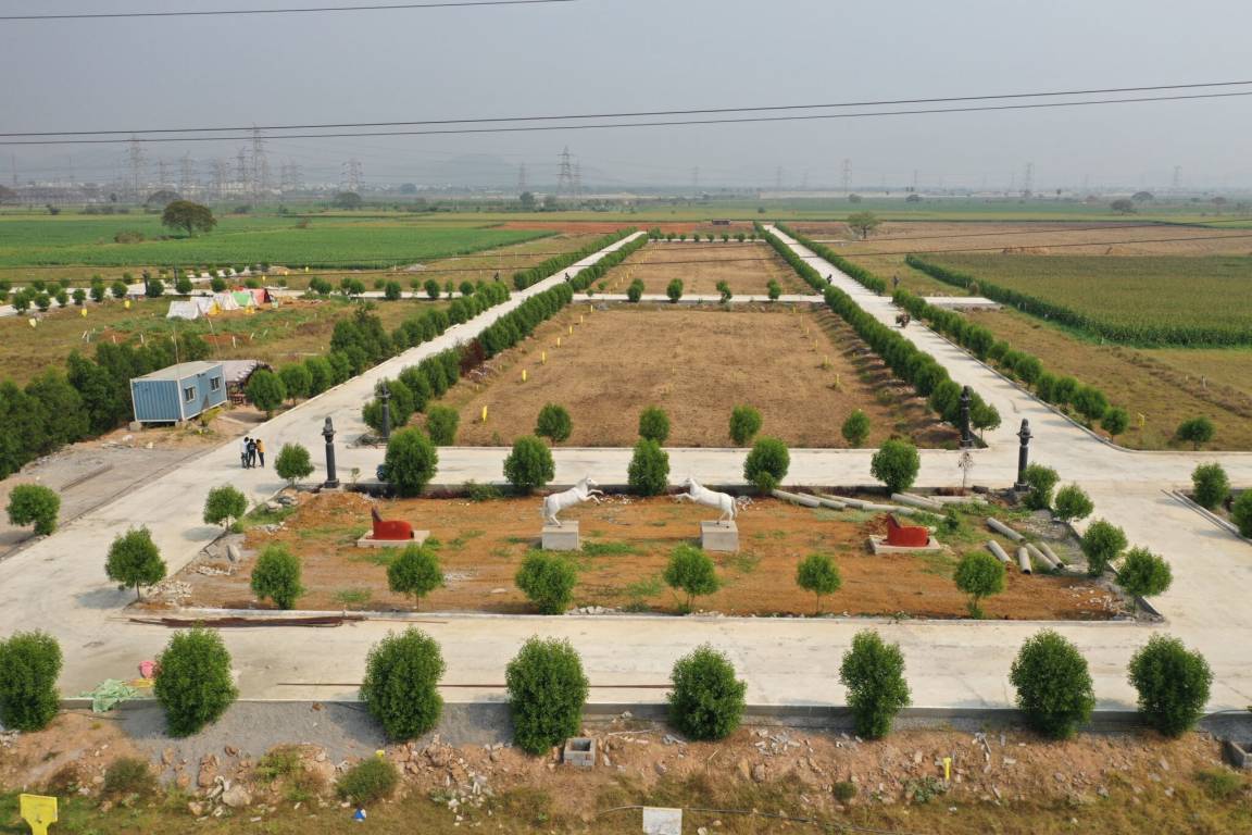  kohinoor Plot