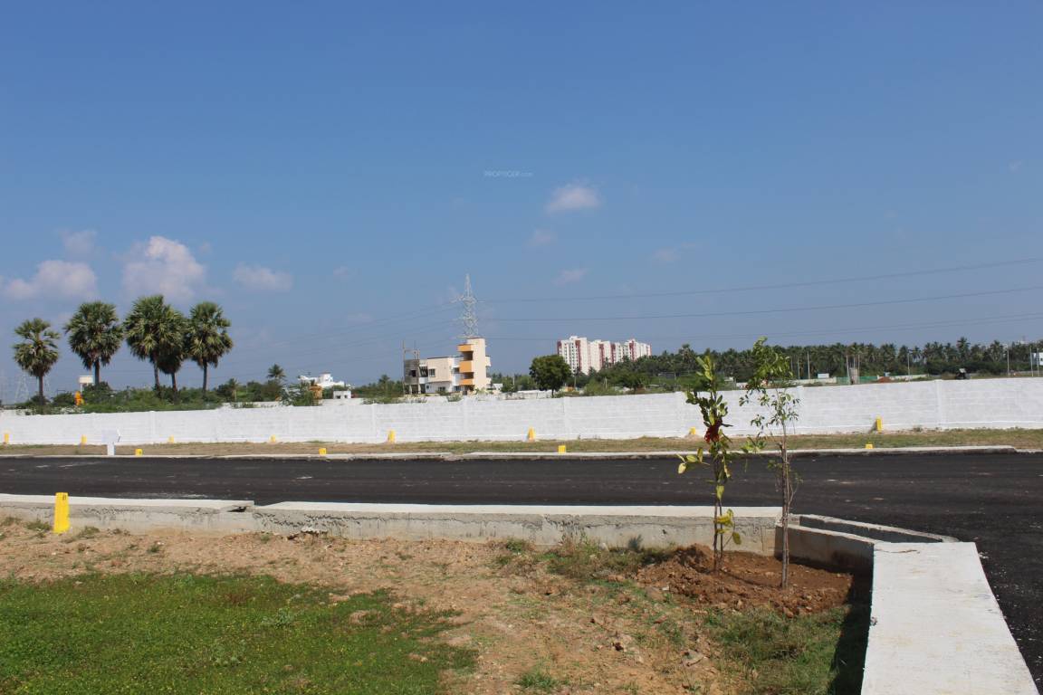  sree mahadheera nagar Plot