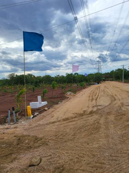  royal-meadows Internal Roads