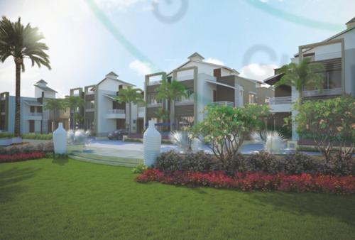  kingston-villa Landscape Garden and Tree Planting