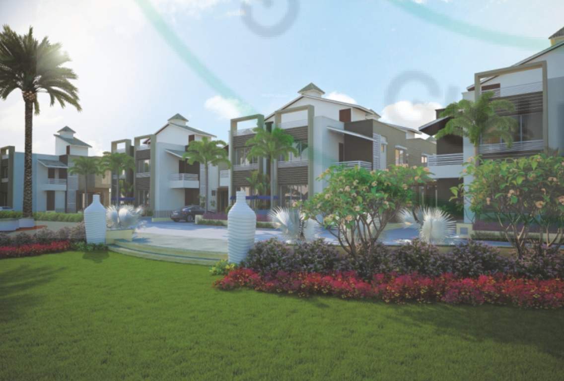  kingston villa Landscape Garden and Tree Planting