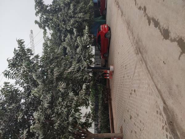 Internal Roads & Footpaths ivory-county-gold Internal Roads & Footpaths