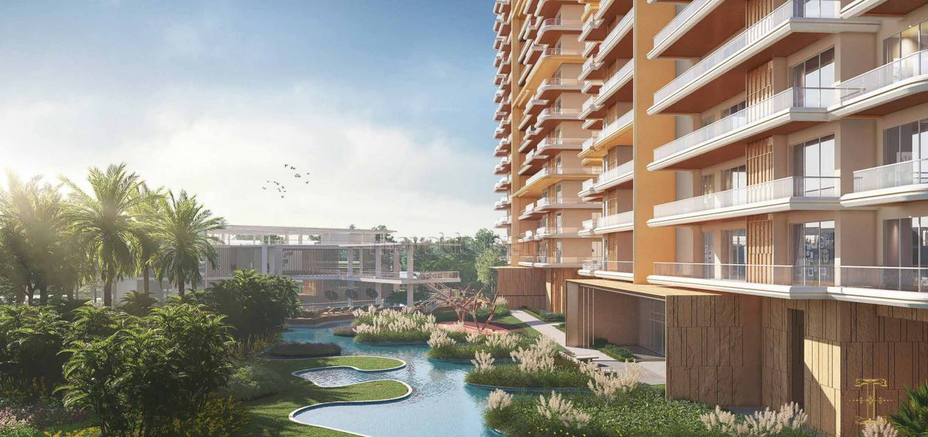  ivory county gold Others