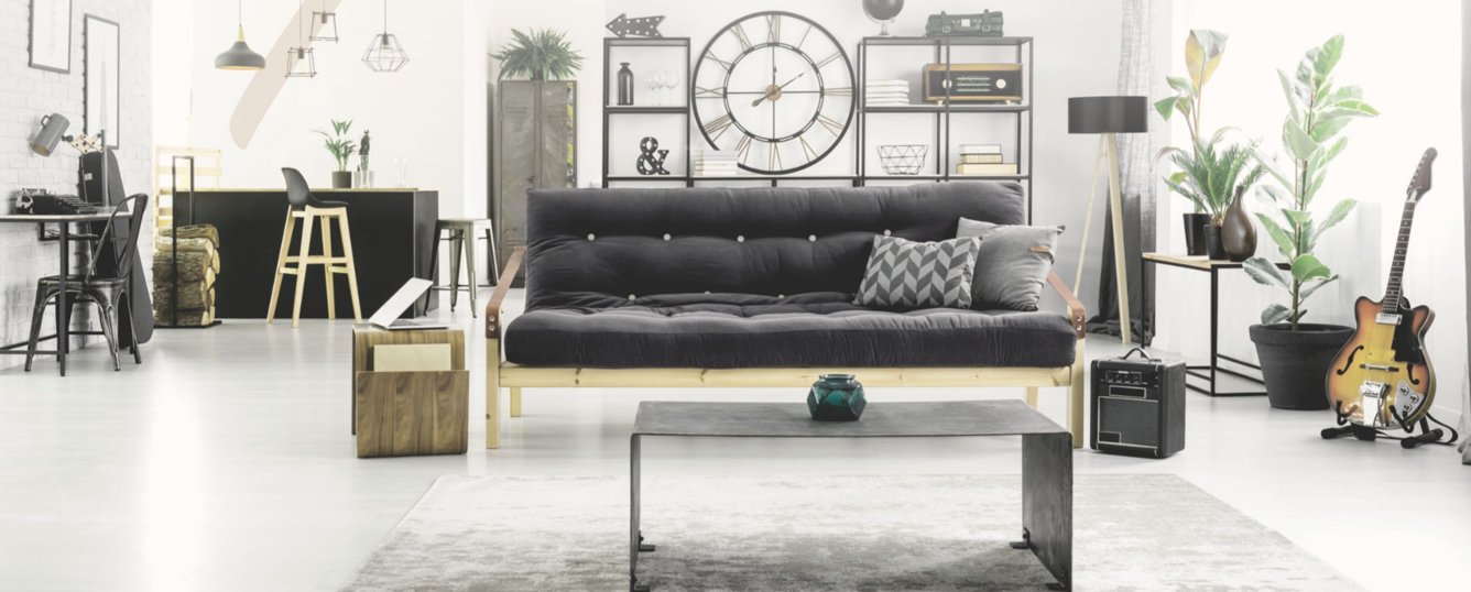  parvati pride Living Area