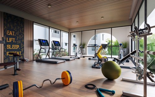  serenity-nest Gymnasium