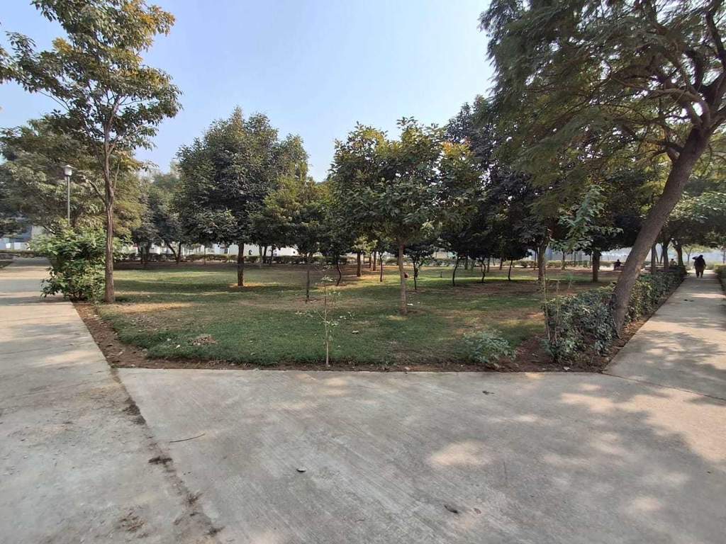  emilia floors Landscaped Gardens