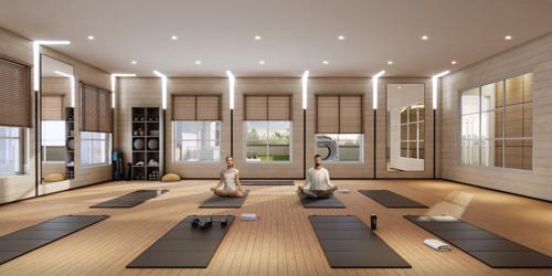  ska-destiny-one Yoga/Meditation Area