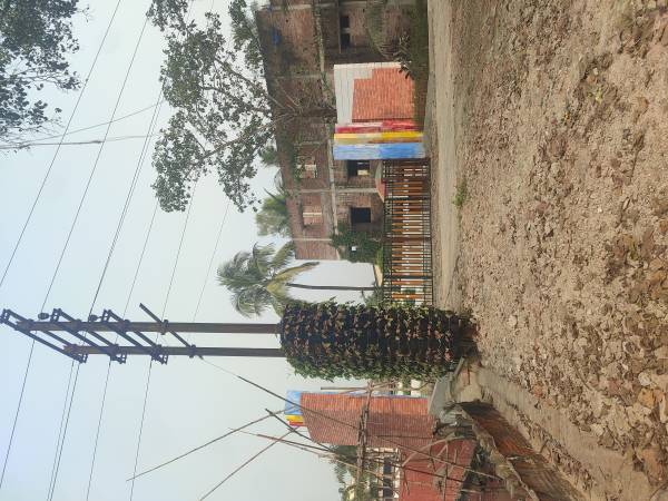  canvas Canvas Construction Status Dec-24