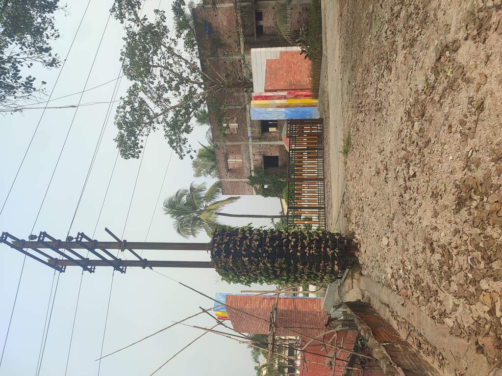  canvas Canvas Construction Status Dec 24