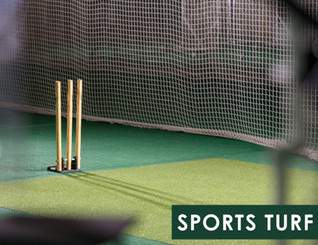  park city Cricket arena