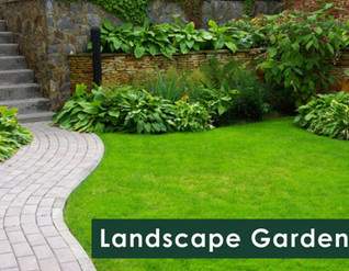  park city Landscape Garden and Tree Planting