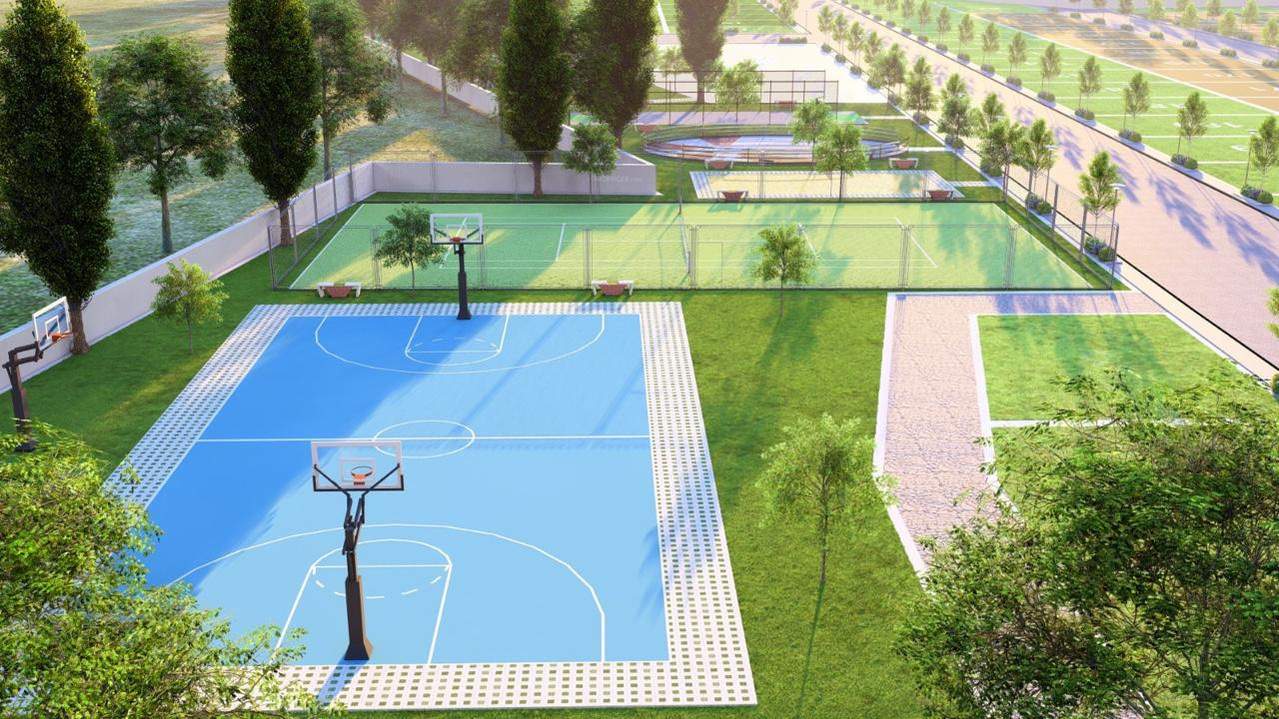 northern lights Basketball Court