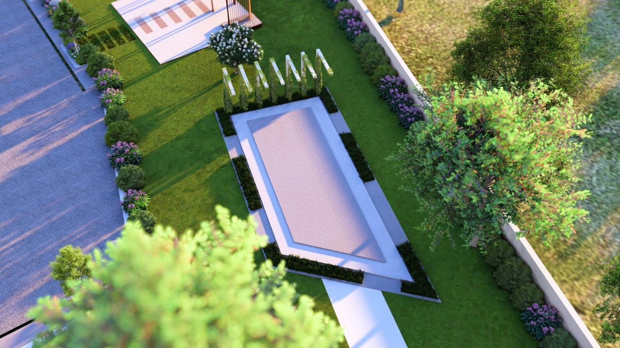 northern lights Others