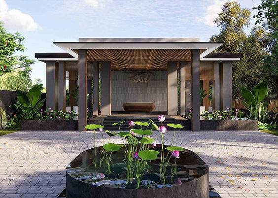 northern lights Senior Citizen Sitout