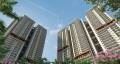 AU Real Estate Services Private Limited The Sunflower Phase 1