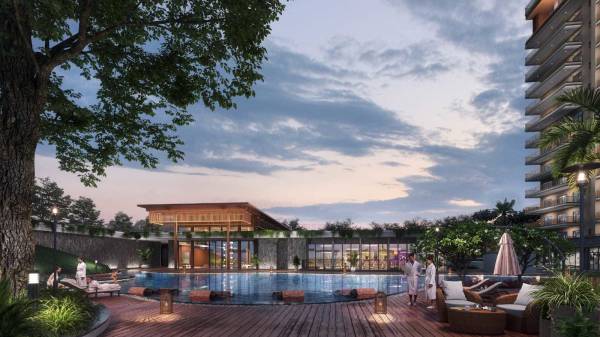  the-sunflower-phase-1 Others