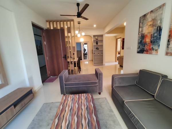 Living Area springs Living Area