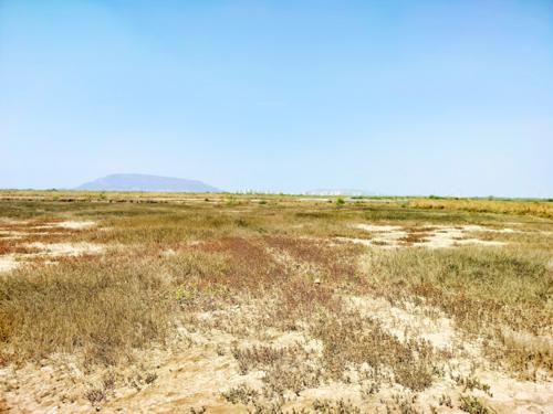 Elevation residential-and-commercial-plots-in-rajanpada Elevation