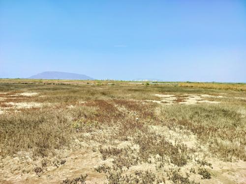  residential-and-commercial-plots-in-belondkhar Elevation