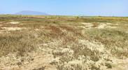 Residential And Commercial Plots In Vindhane