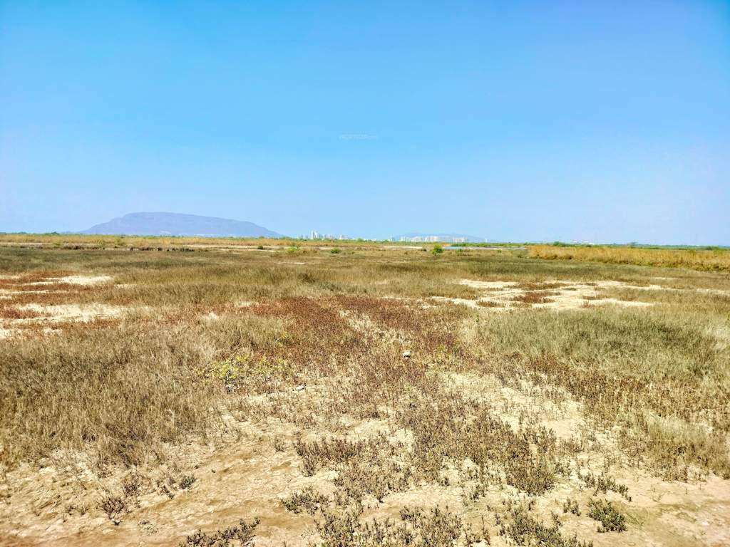  residential and commercial plots in chirle navi mumbai Plot