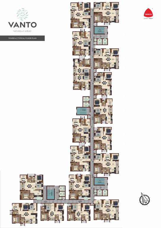  trifecta vanto phase 1 A Cluster Plan