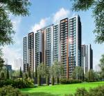  trifecta-vanto-phase-1 Elevation