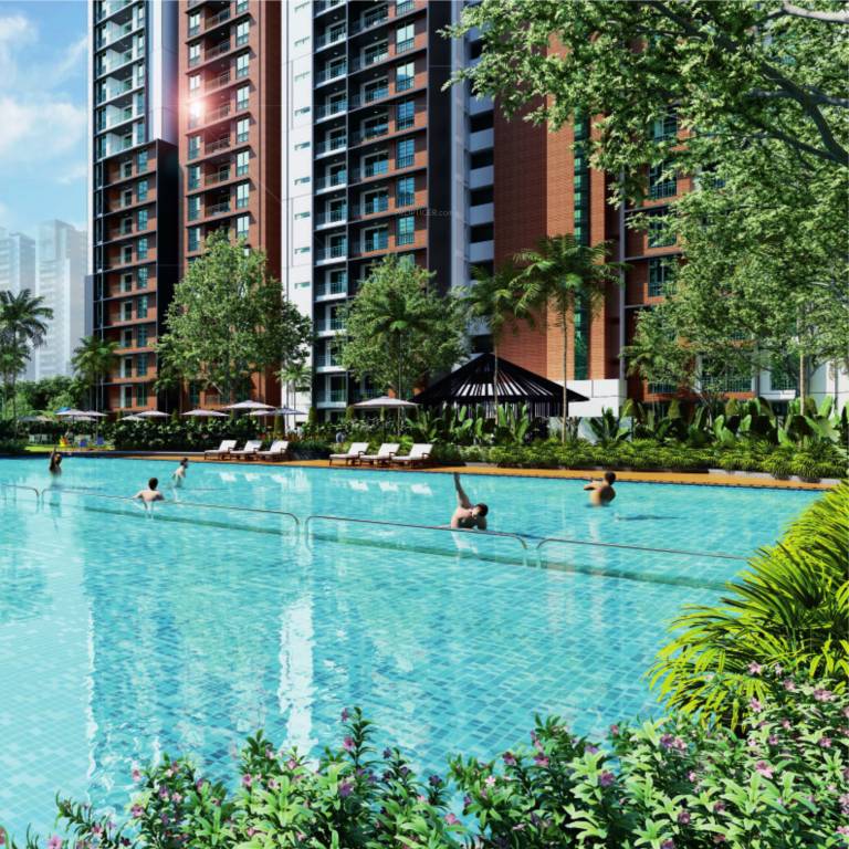  trifecta vanto phase 1 Swimming Pool