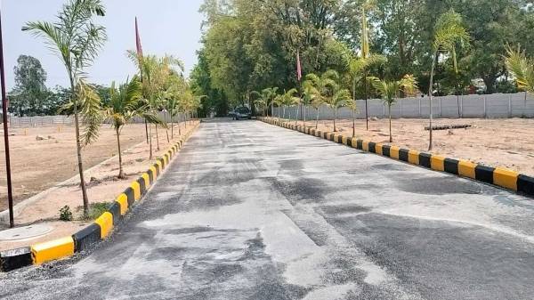  asrs-hans-exotica Elevation