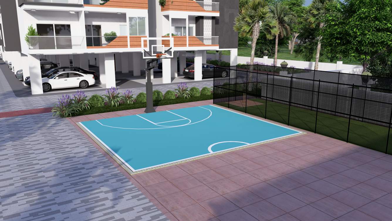  palacio Basketball Court
