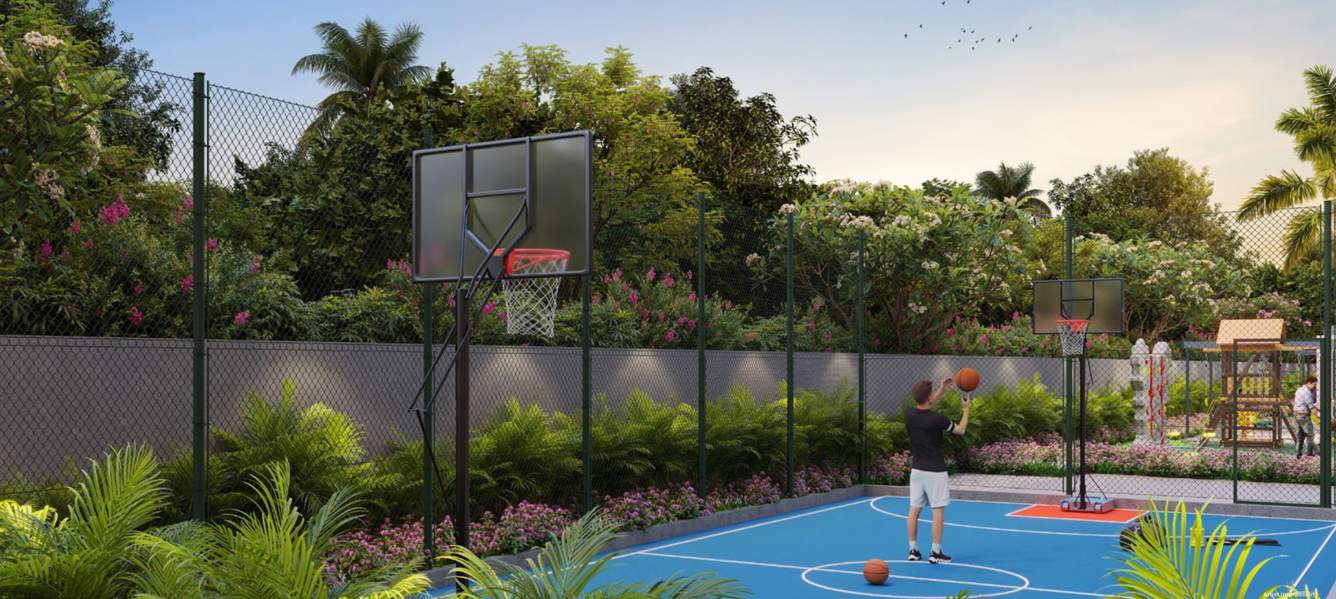  anandam Basketball Court