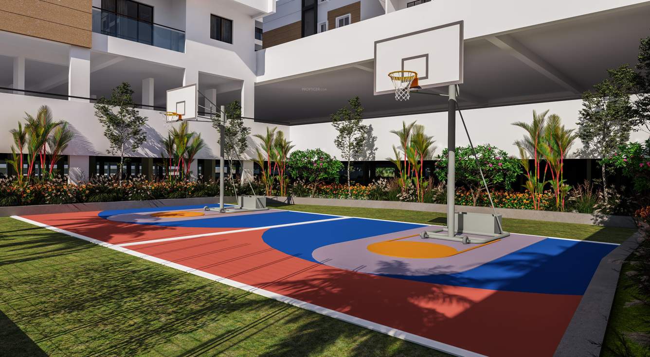  signature Basketball Court