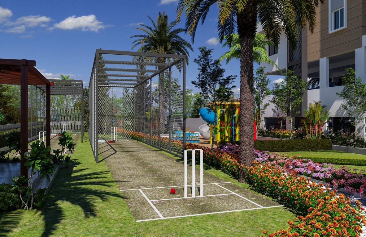  signature Cricket arena