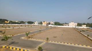 Project Image Project Image