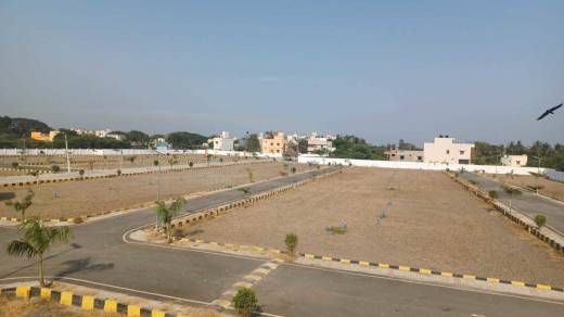 golden-flower-plots Elevation Elevation