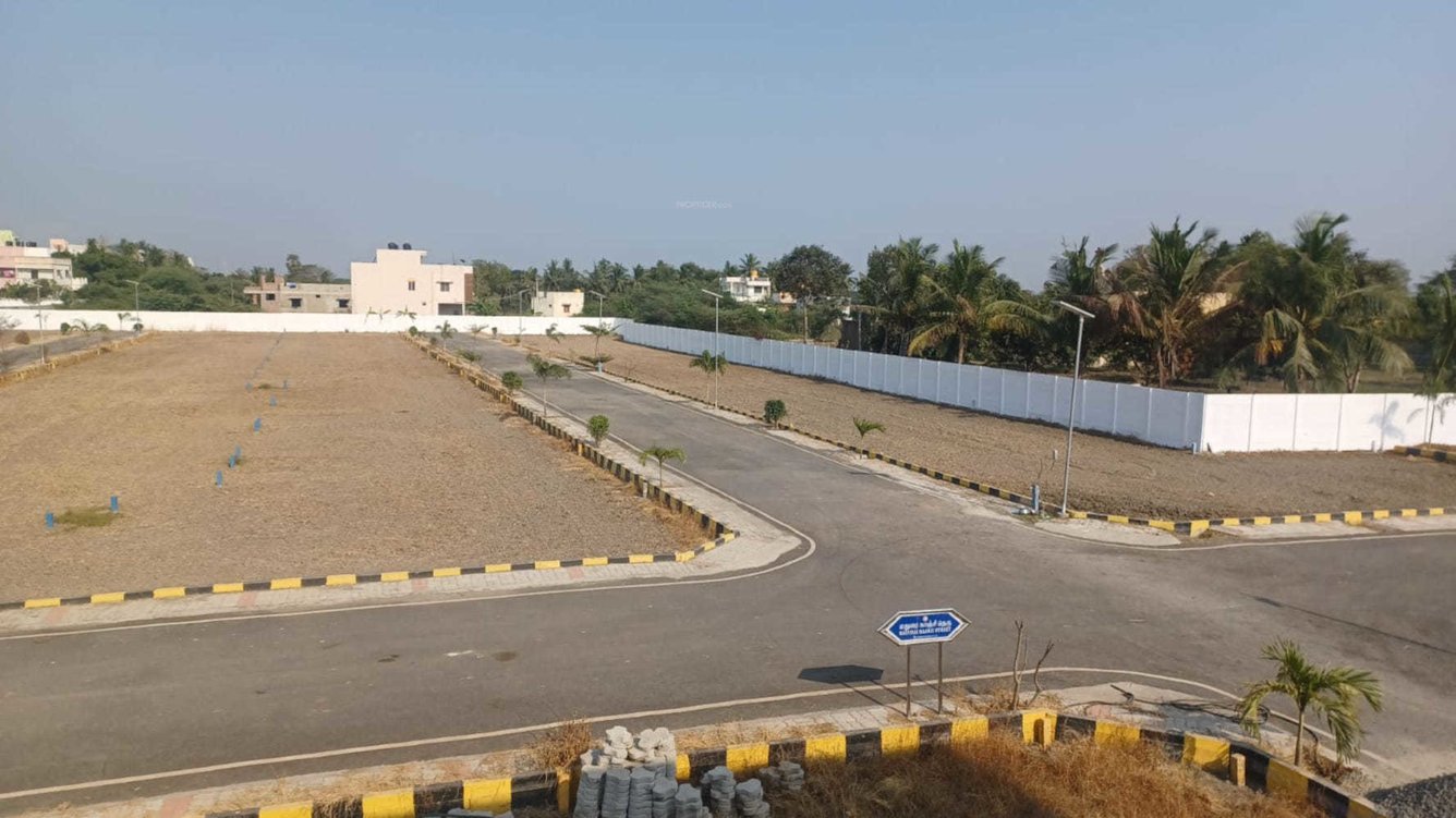  golden flower plots Plot