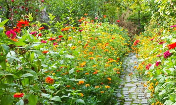  paradise Flower Garden