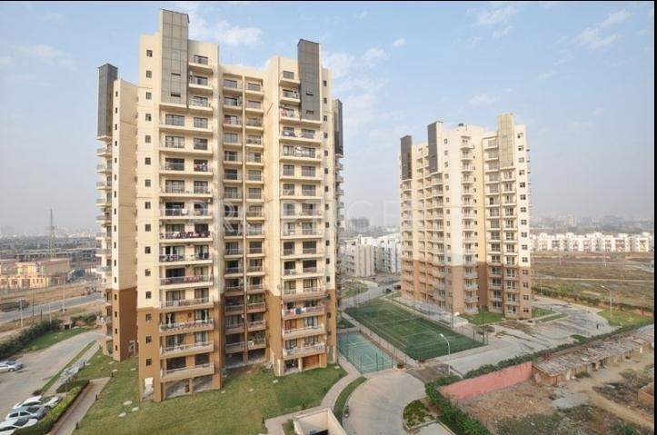  delight and splendours Images for Elevation of SS Delight and Splendours