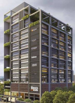 terraza-south Elevation Elevation