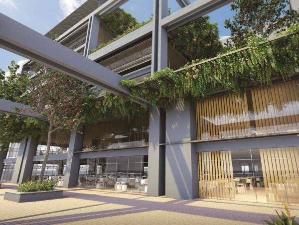  terraza-south Others