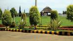  sunsiri-projects-green-delight-prime Plot