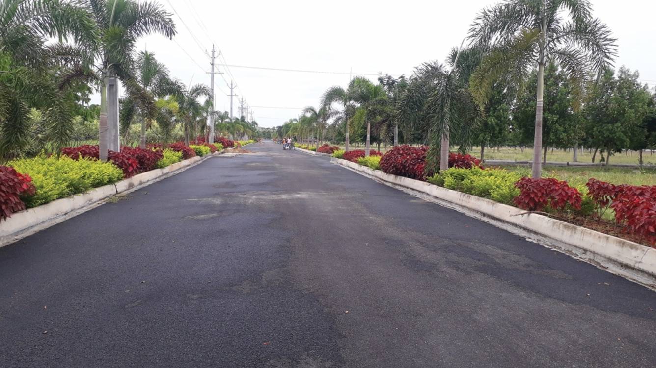  sunsiri projects green delight prime Plot