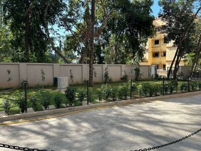  elysian-wing-c Others