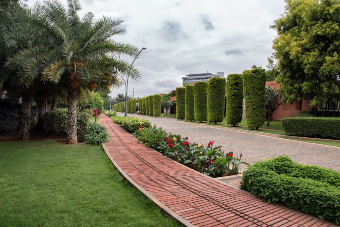  the magic faraway tree 2 Others