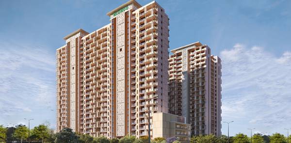  la-vida-bella Elevation